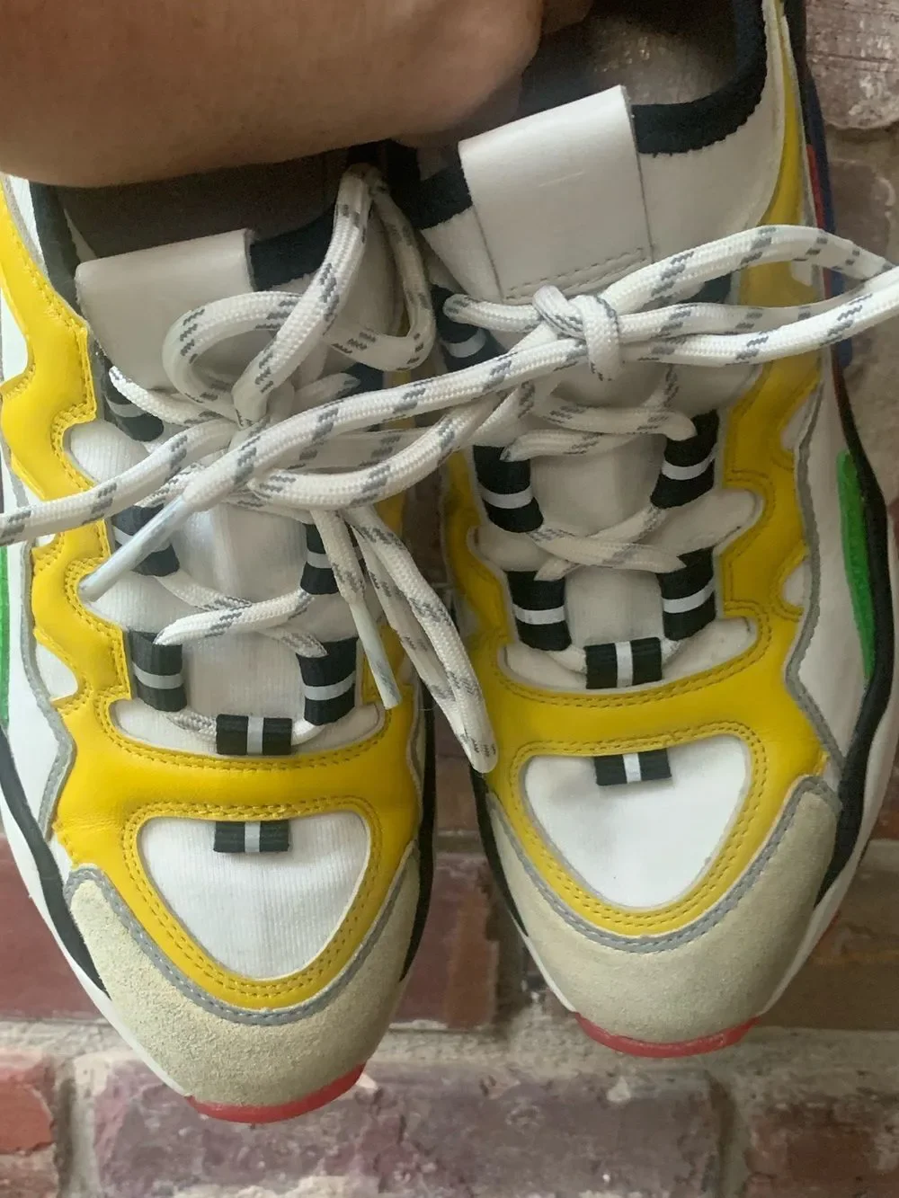 ASH Bird Retro Sneakers